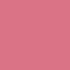 Pinks - Rapture Rose 
