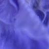 True Iris Colour