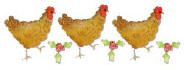 3 French hens