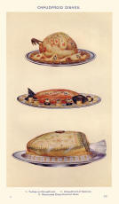 Colour Food Plate of Poultry and Game Chaudfroid Style