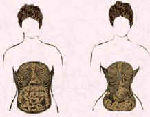 Picture of two female bodies with cut out views of internal organs and the possible deformation caused by lacing.