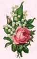 Picture of rose and lily of the valley.