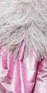Orchid pink fabric