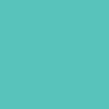 For 2010 the most important block bright colour of the 2010 fashion colour palette is turquoise 