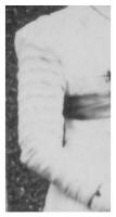 1910 Bridesmaid sleeve with deep one inch tucks.