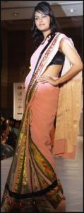 Pink Sari With Heavy Border