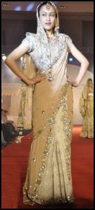 Sari Pallu Over Face - Vibrant Fashion Week Gujarat India 2010