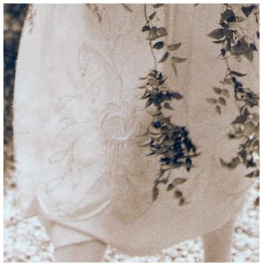 1925 skirt rose