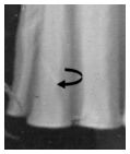 1928 maid cross seam