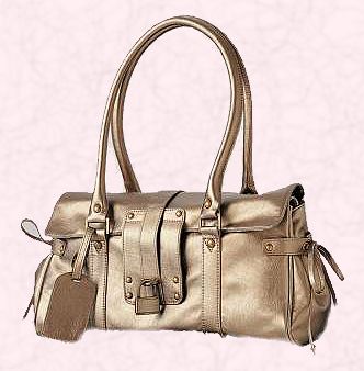 metalic handbag