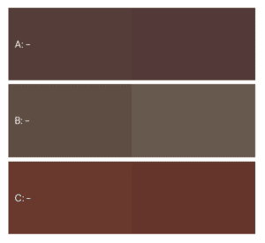 dark brown color palettes AW 2021 Fashion color trends