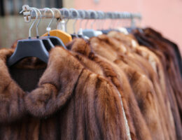 how to clean a full-length fur coat